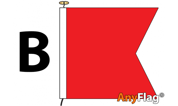 Signal Code B Flag (BRAVO)